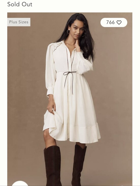 En Saison Dresses & Skirts - Anthropolgie  2x